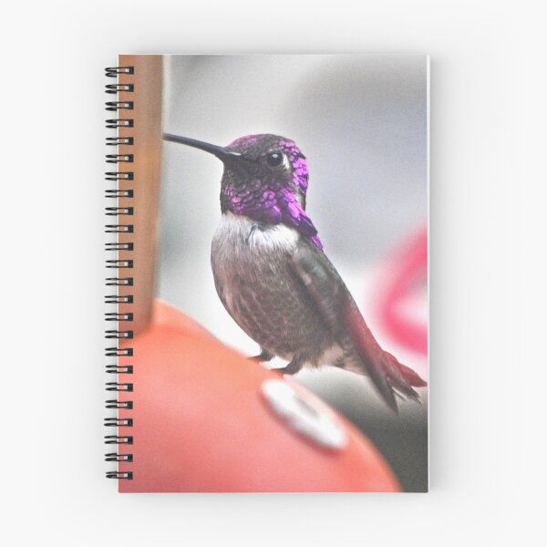 Item preview, MALE HUMMINGBIRD ON FEEDER PERCH designed and sold by JAYMILO.