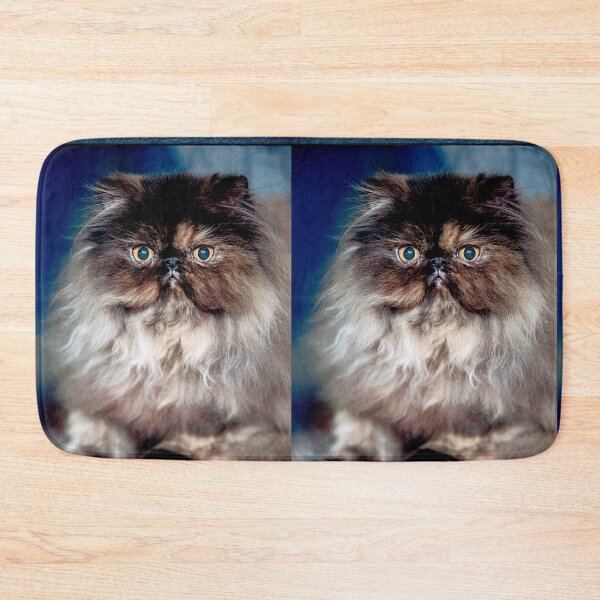 Item preview, r2745/ 6 " avec le Studio Portable Okaio et 3 (bal) flahs Okaio  - Les Chats du temps de l'Argentique - Cats from the time of the film "  (h) Olavia-Olao Okaio Créations designed and sold by o.okaïo.