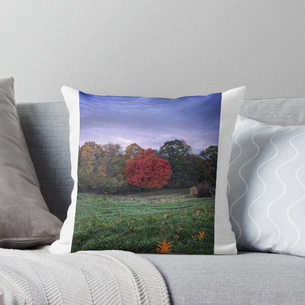 Artikelvorschau, Herbst im Mittleren Westen entworfen und verkauft von Unusualpix.