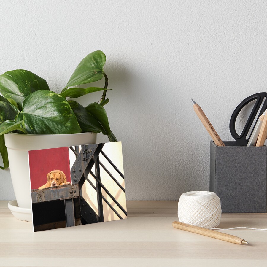 Item preview, Art Board Print designed and sold by RJDowns.