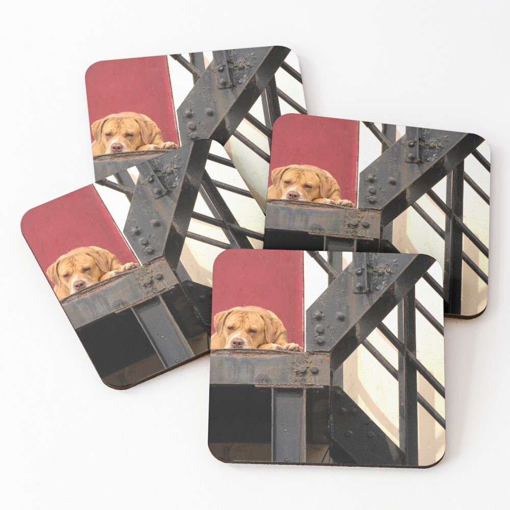 Item preview, Coasters (Set of 4) designed and sold by RJDowns.