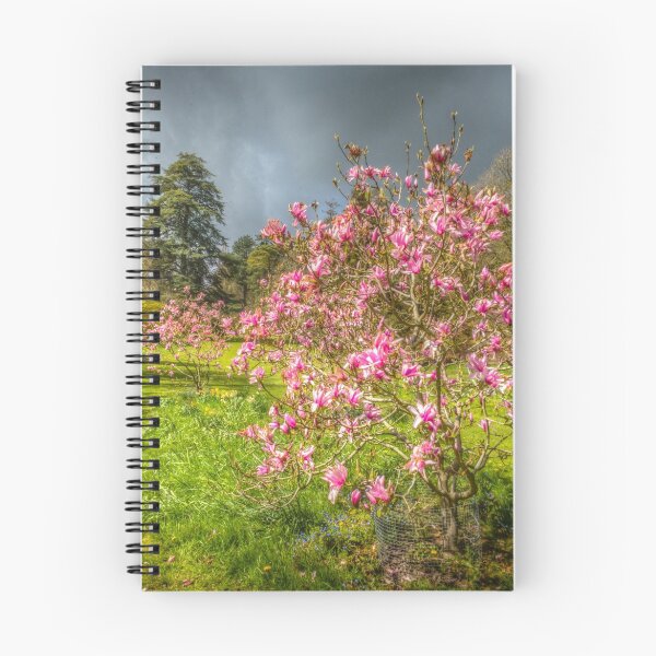 Item preview, Sunlit Magnolia designed and sold by Viv Thompson Photography .