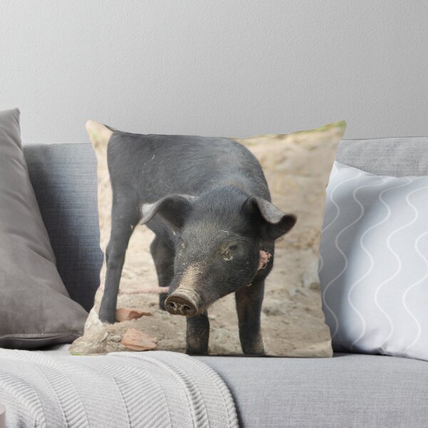 Item preview, Standing Pig designed and sold by rhamm.