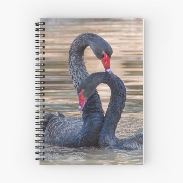 Item preview, Black Swan Dance designed and sold by Susan Watson.