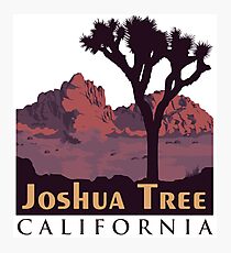 Joshua Tree National Park. Photographic Print