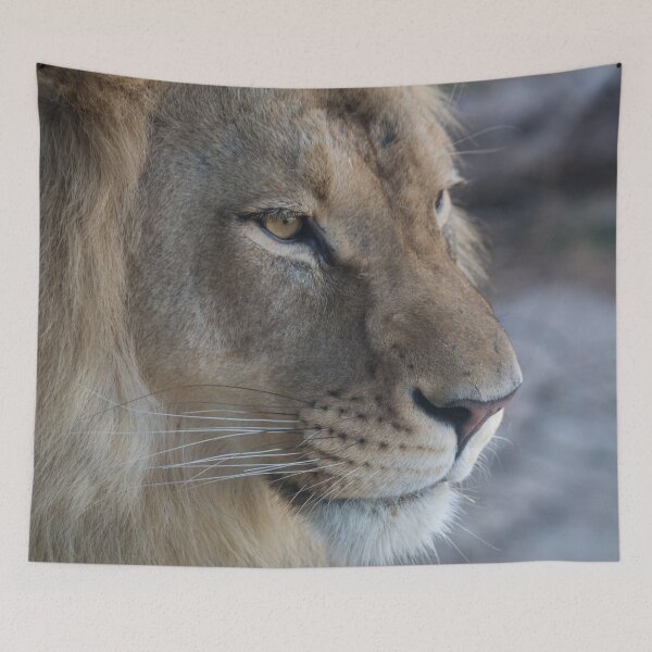 Item preview, Surveying His Kingdom designed and sold by Jacquelie.