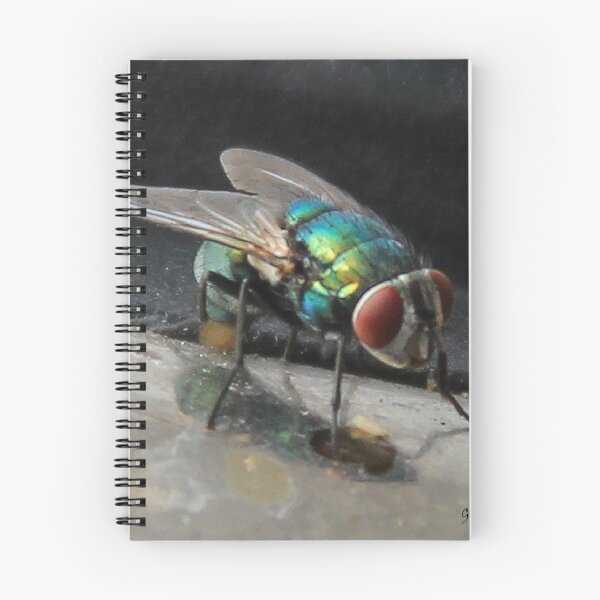 Item preview, Green Fly designed and sold by Gilberte.