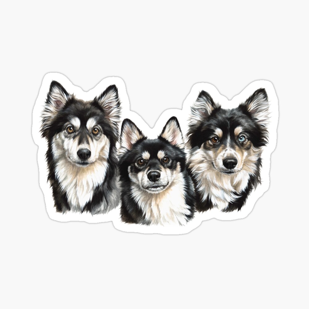 0489 iPhone Case