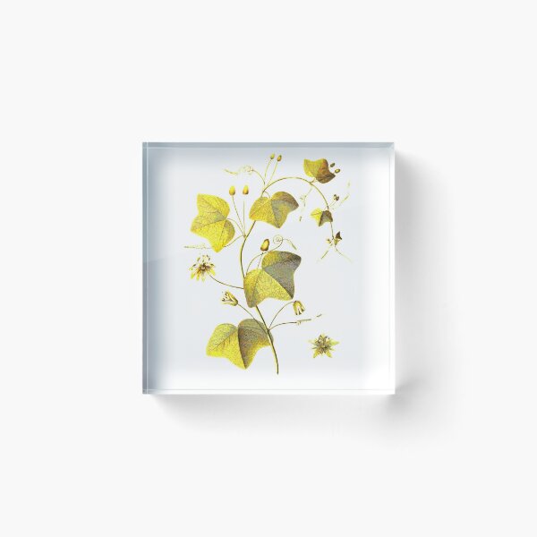 Item preview, Lovely golden yellow leaves designed and sold by PhabulousPhoenx.