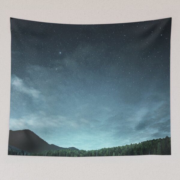 Item preview, Shiny night starry sky, Aurora blue dreamland pines, dark midnight sky, lake, summer night landscape designed and sold by August-E.
