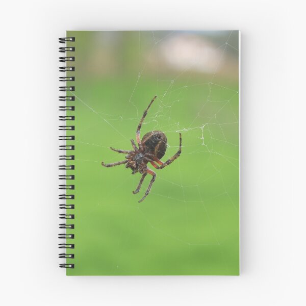 Item preview, Belly of a Spider designed and sold by rhamm.