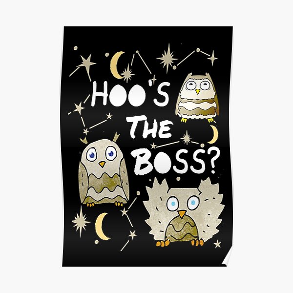 Posters Sur Le Theme Chouette Jeu De Mots Redbubble