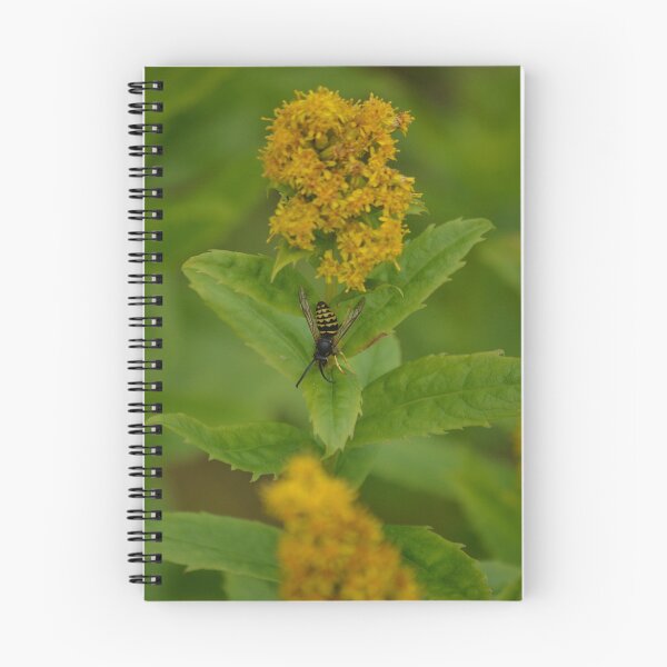 Item preview, Wasp on a Flower (Homer, Alaska) designed and sold by Michael Lempert.