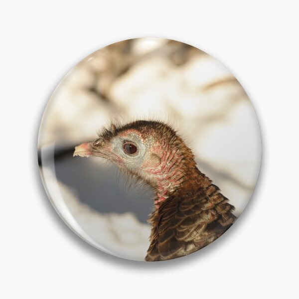 Item preview, Wild turkey designed and sold by photobypj.