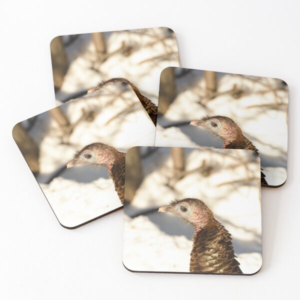 Item preview, Wild turkey designed and sold by photobypj.