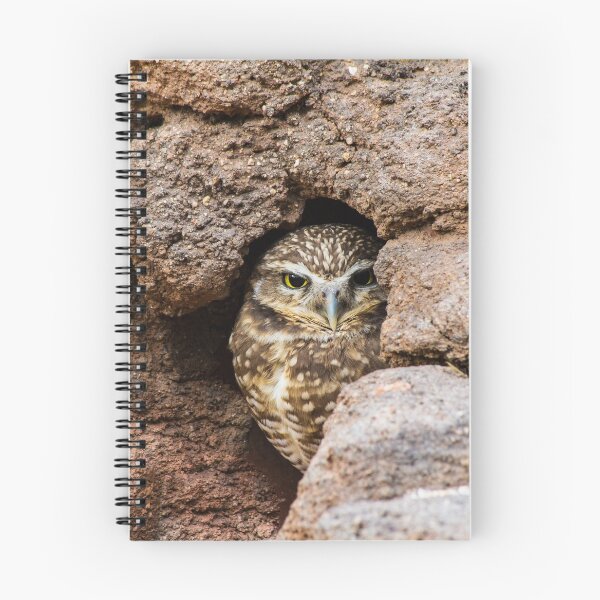 Item preview, The Watcher designed and sold by BGSPhoto.