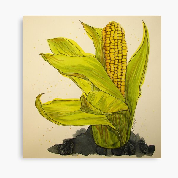TRACEY'S CORN Canvas Print