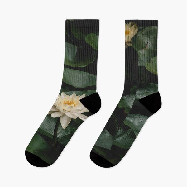 Item preview, Lotus and Lily pads designed and sold by JLPhotographer.