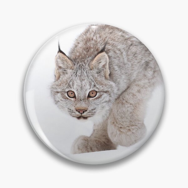 Item preview, Stealthy Lynx designed and sold by mlorenz.