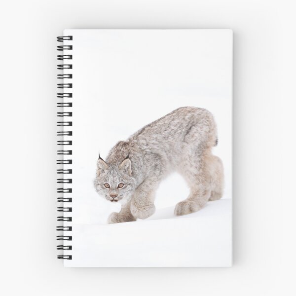 Item preview, Stealthy Lynx designed and sold by mlorenz.