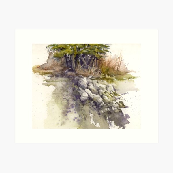 Rockslide Study Art Print