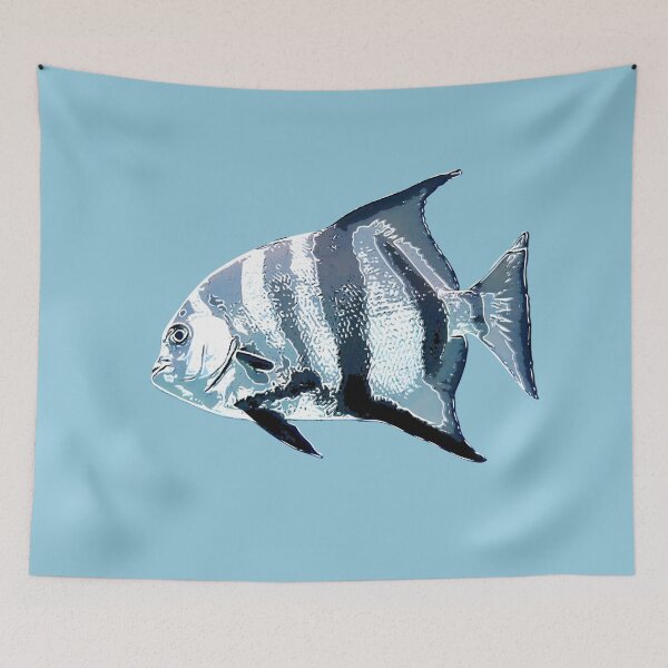Item preview, Atlantic Spadefish White Diseño alternativo designed and sold by designsasstultd.