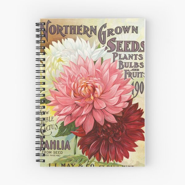 Item preview, LL May & Co Flower Illustration designed and sold by VintageAndy.