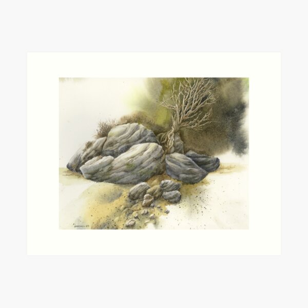 Rock Tree Study Art Print