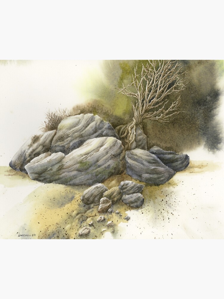 Thumbnail 3 of 3, Canvas Print, Rock Tree Study designed and sold by mindofwaterc.