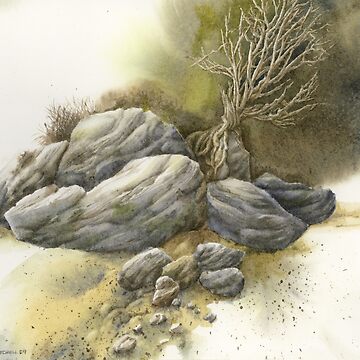 Artwork thumbnail, Rock Tree Study by mindofwaterc