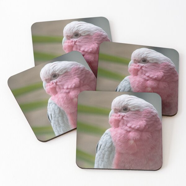 Artikelvorschau, Galah entworfen und verkauft von Jacquelie.