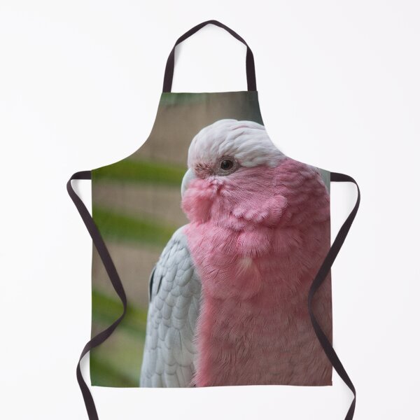 Artikelvorschau, Galah entworfen und verkauft von Jacquelie.