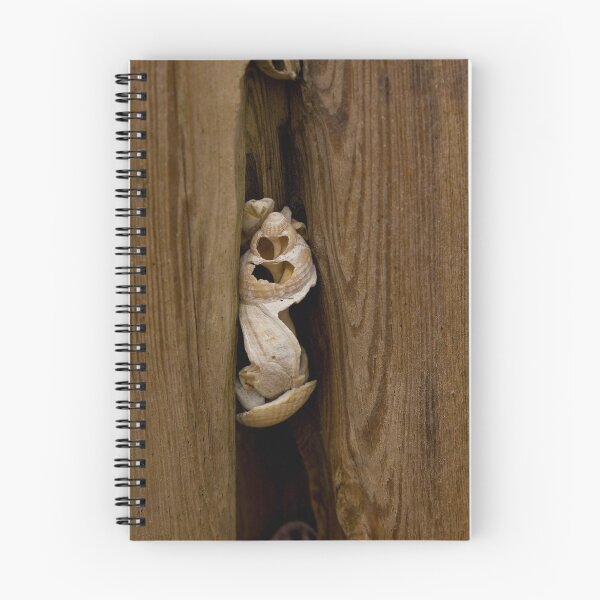 Item preview, Captive designed and sold by Jennifer Bradford.