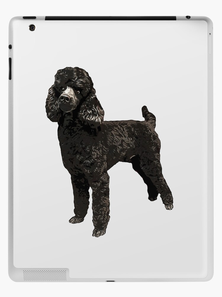 Black mini toy on sale poodle