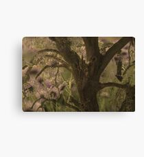 Oak and Flowers Canvas Print