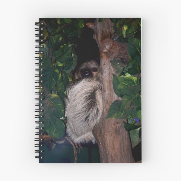 Item preview, sloth in a tree designed and sold by Jennifer  Sweeney.
