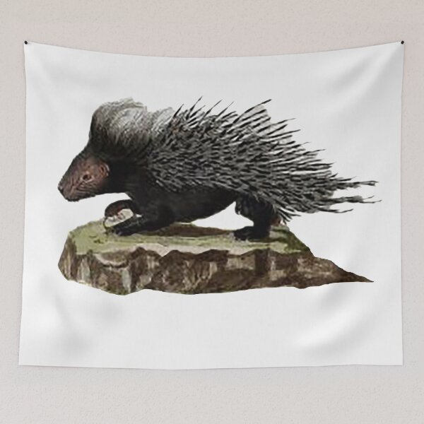 Item preview, Porcupine illustration designed and sold by Nostrathomas66.