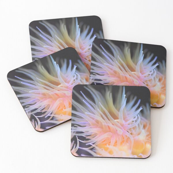 Item preview, HD Dendro coral designed and sold by VossenAquatics.