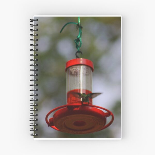 Item preview, hummingbird at feeder designed and sold by Jennifer  Sweeney.