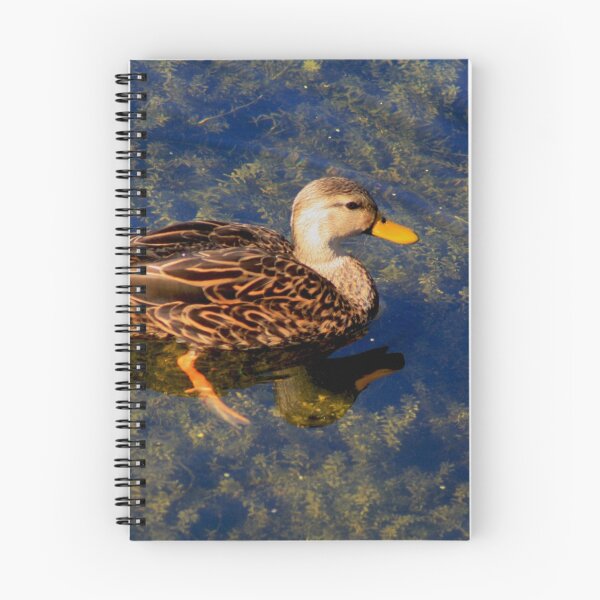 Item preview, brown duck swimming in lake designed and sold by Jennifer  Sweeney.