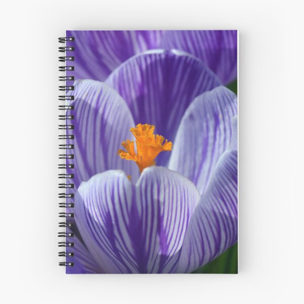 Item preview, Crocus In Winter designed and sold by doodle3Dandy.