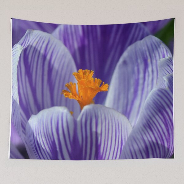 Item preview, Crocus In Winter designed and sold by doodle3Dandy.
