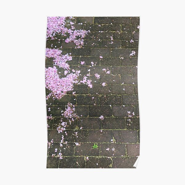 Fallen Petals Poster