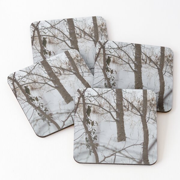 Item preview, Winter Woods designed and sold by Jacquelie.