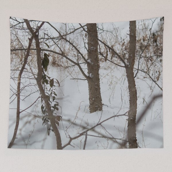 Item preview, Winter Woods designed and sold by Jacquelie.