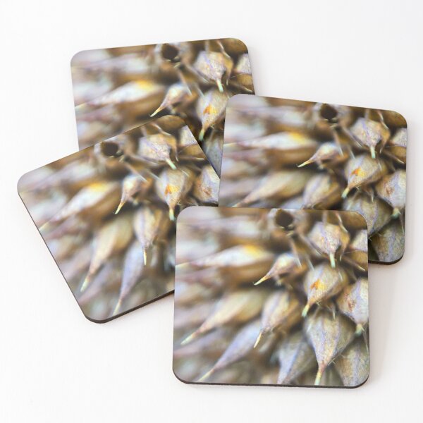 Item preview, Bergamot Wall Art designed and sold by Travis Varnum.