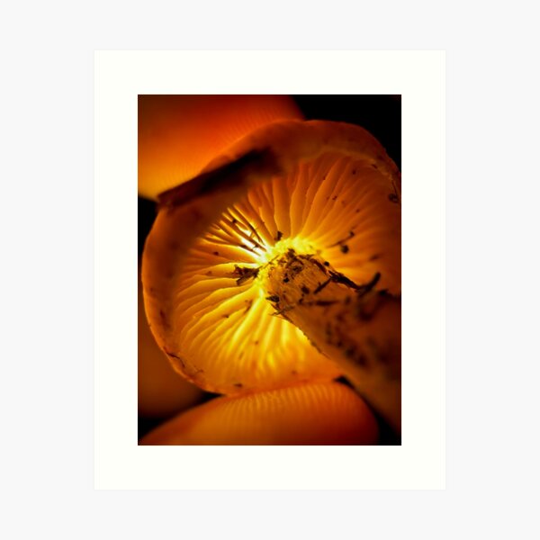 Item preview, Glowshroom designed and sold by Travis Varnum.