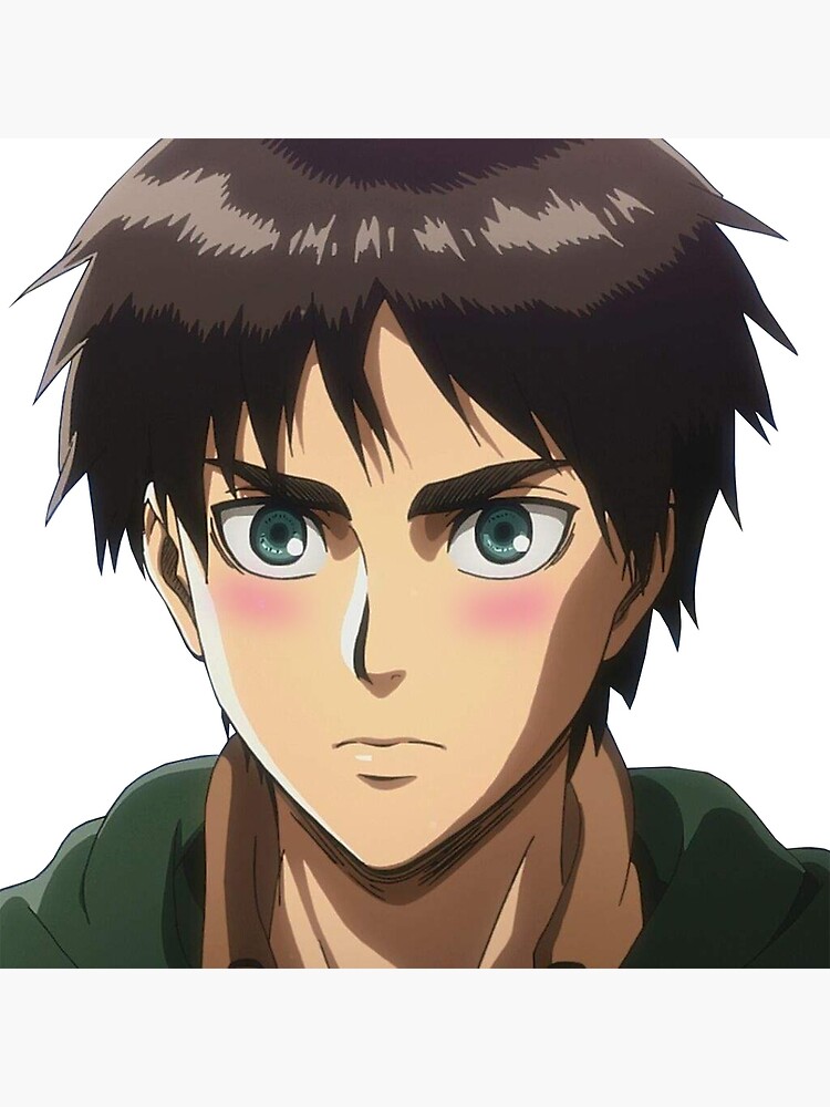 eren yeager flat