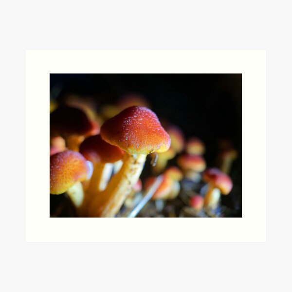 Item preview, Red Mushroom Macro Print designed and sold by Travis Varnum.