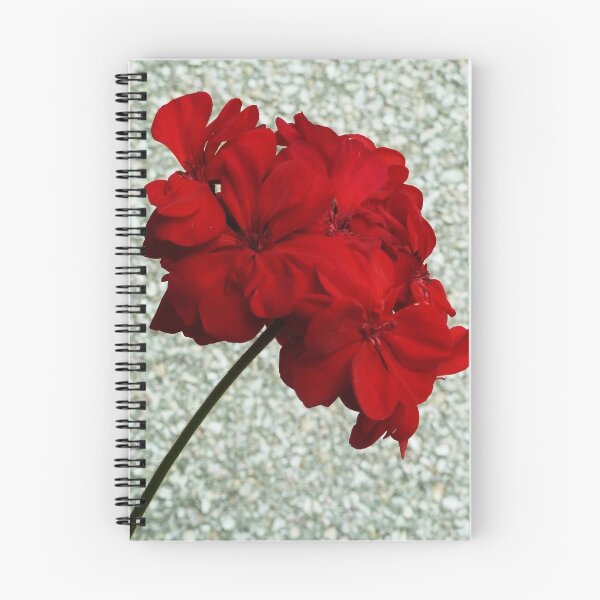 Item preview, Hortensias rojas designed and sold by Rachel Blankenship.